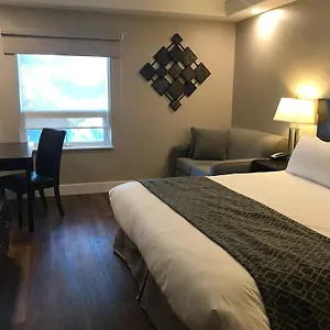 Chateau Louis & Conference Centre *** Edmonton