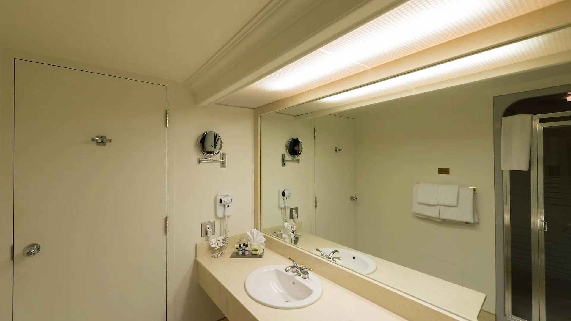 Fantasyland Hotel Edmonton 4*,  Kanada
